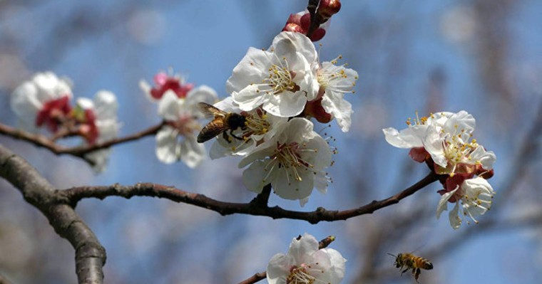 Сәуірде ауа райы қандай болады: болжам