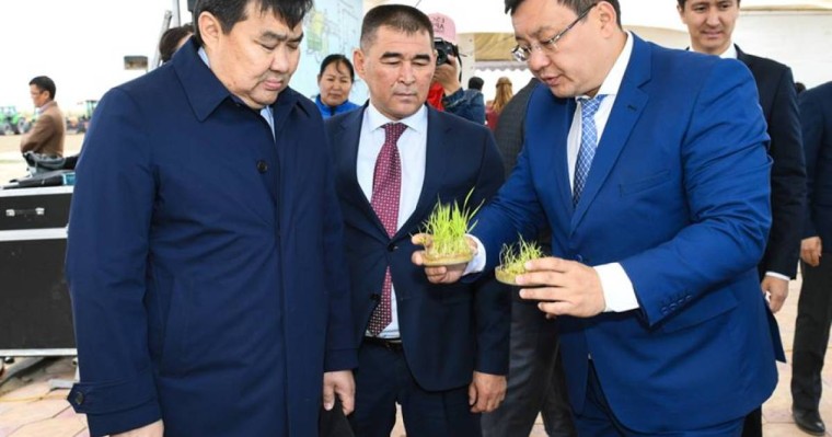 Қызылорда облысында көктемгі егіс жұмыстары басталды