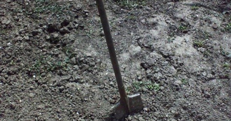 Екі баласының анасына көр қазып қойған: Атбасардағы сұмдықтың мән-жайы белгілі болды