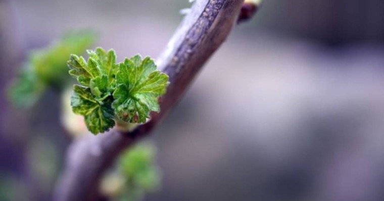 2-4 сәуірде ауа райы қандай болады