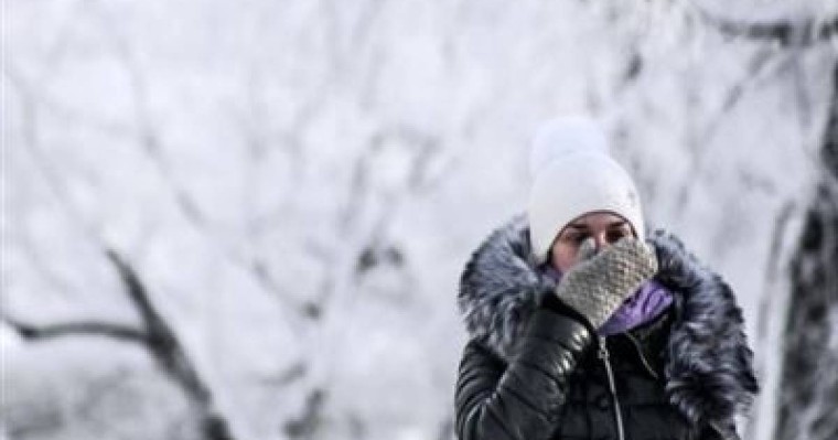 Сымдардың желдік ауытқуы слайд,презентация - Биология