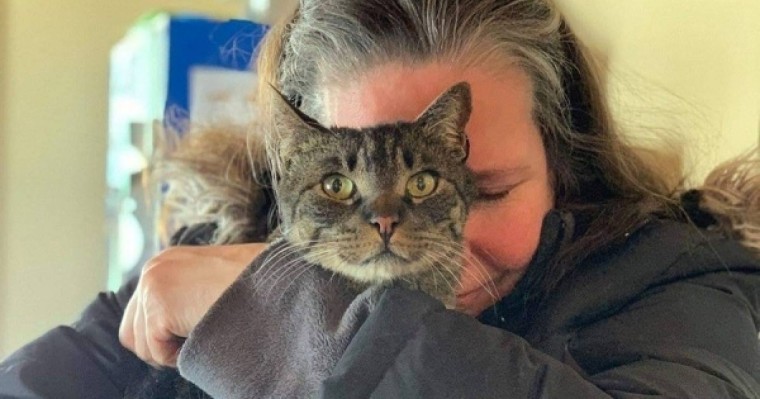 ​Бес жыл бұрын жоғалған мысық аман-есен табылған