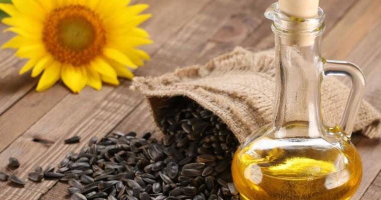 Қазақстанда өндірілген күнбағыс майы Қытай нарығына шығады