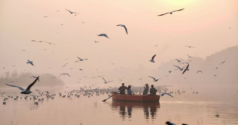 Еуромайданды еске алу және жыл құстарының көші