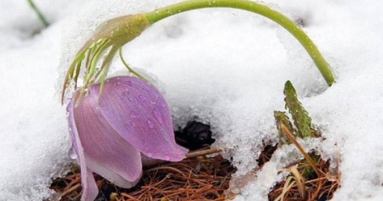 Дүйсенбі күні Қазақстан аумағында тұрақсыз ауа-райы сақталмақ