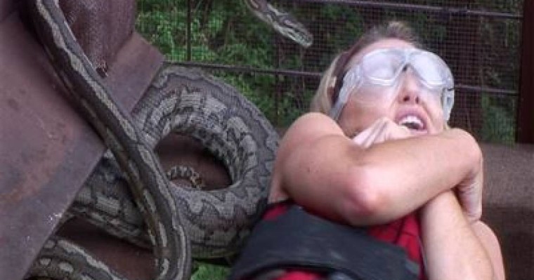 Телешоу жұлдыздарын улы жылан шағып ала жаздады