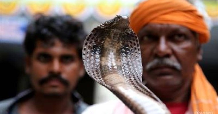 Жігіт достарын жыланмен қорқытамын деп, ажал құшты