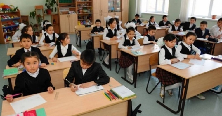 Туа пайда болған кардит слайд,презентация - Биология