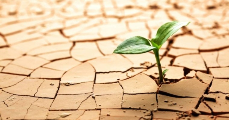 Ешқашан жеңілмеуге 12 себеп |