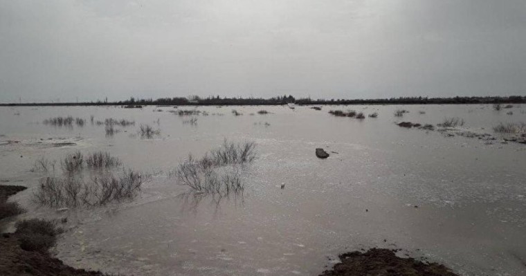 ШҚО-да ауылдарды су басып жатыр