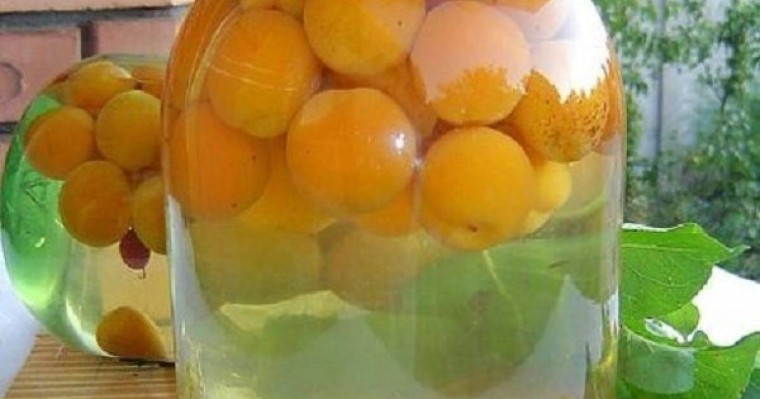 Абрикос компотын қалай әзірлейді? |