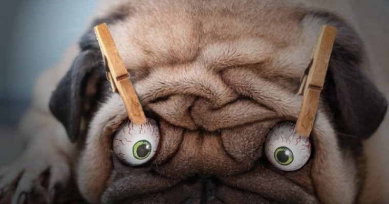 Ұйқыңыз келгенде кофенің орнына не тұтынуға болады?