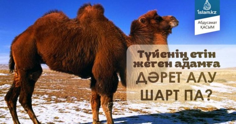 Түйенің етін жеген адамға дәрет алу шарт па?