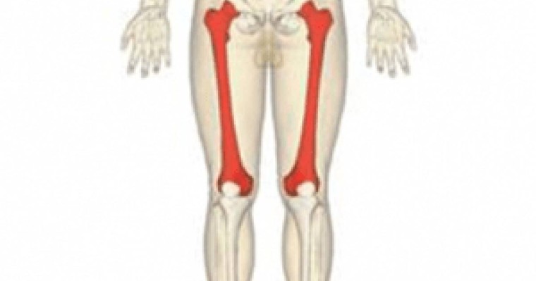 Үлкен ұршық сынығы. Кіші ұршық сынығы