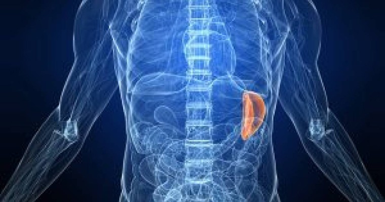 Ұйқы безінің қандағы және зәрдегі ферменттерін анықтау