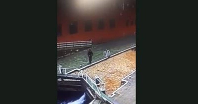 Телефонына телмірген жігіт суға құлап кетті (ВИДЕО)