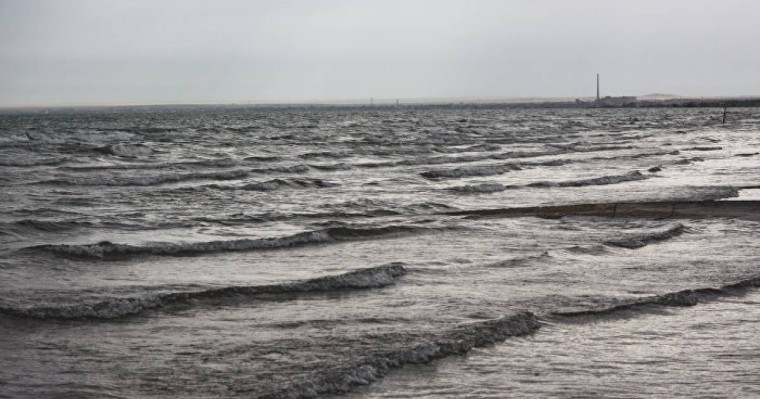 Қытайда екі метрлік жұмбақ жаратылыс жұрттың үрейін ұшырды