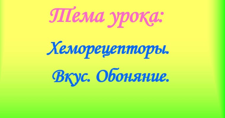 Хеморецепторы слайд,презентация - Биология - Презентация на казахском языке - Қазақша презентация