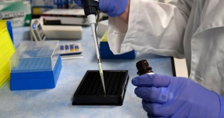 ​Склерозды емдеу әдісі табылды