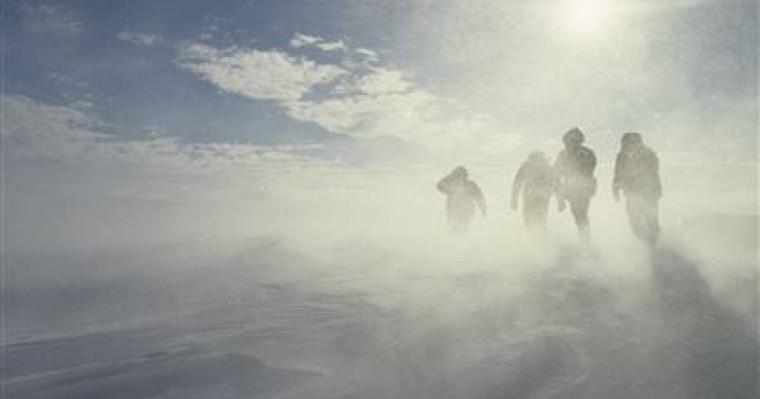 ШҚО-да қасқыр қамаған ауыл тұрғындары құтқарылды