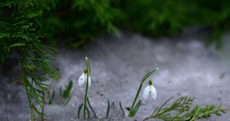 12-14 наурыз күндеріндегі ауа райына болжам