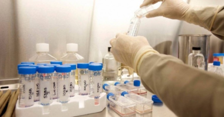 Алматыда Таиландтан келген туристерден Денге безгегі анықталды