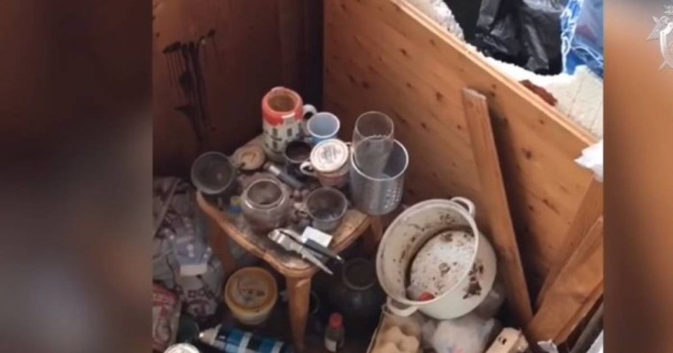 "Алқасы мойнына жабысып қалған": қоқысқа толы пәтерден Маугли қыз табылды