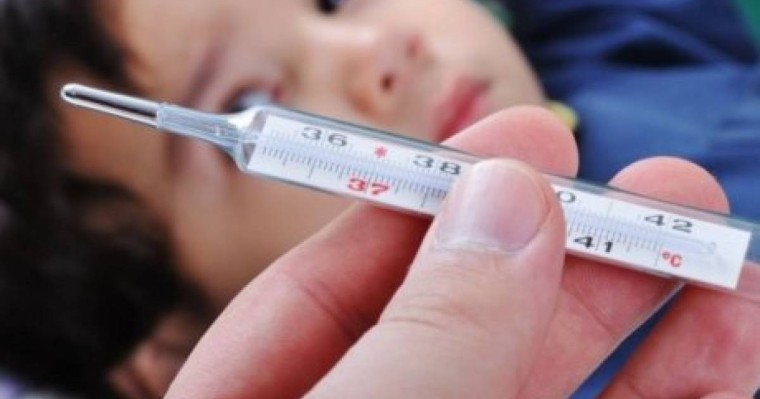 ҰБТ тестер: География 7 сынып 2- тоқсандық бақылау жұмысы (Тест)