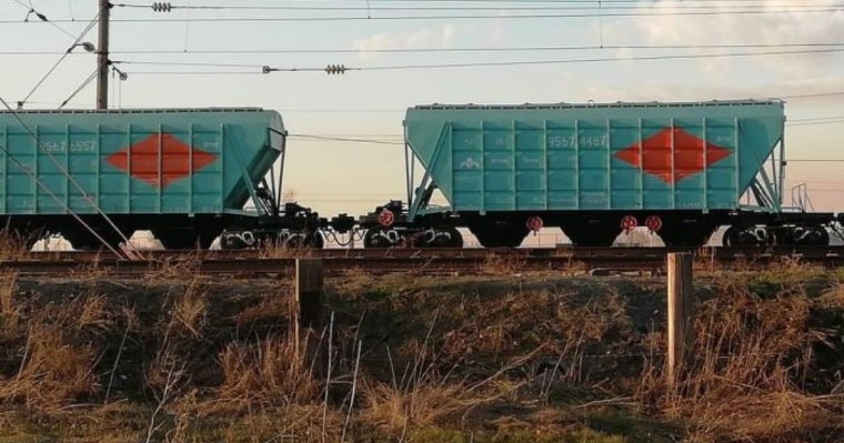 Ақмола облысындағы сенбілік кезінде 14 жастағы оқушы мерт болды