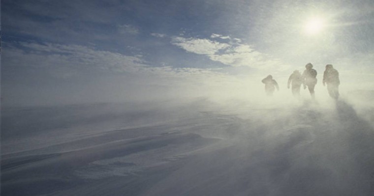 "Қатты айғайладық". ШҚО-да адасқан ауылдықтар қасқырға жем бола жаздады