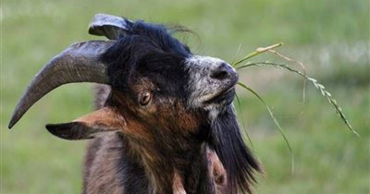 Метроға ешкімен кірген ер адам бүкіл жұртты әуре-сарсаңға салды