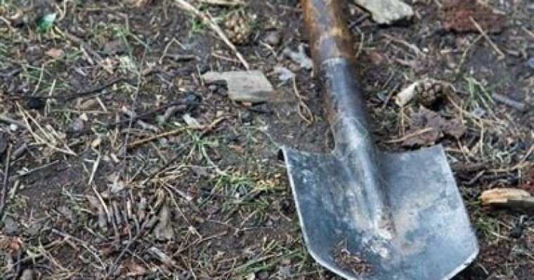 Немересін тірідей көміп тастаған әйел сотталады