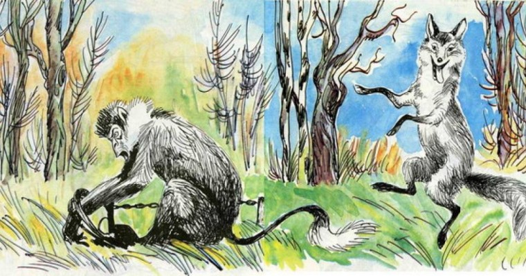 Қазақша ертегі: Түлкі мен маймыл - Ертегілер - Bilim