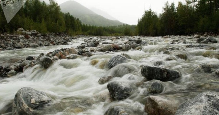 Жаңа министрлікке қандай өкілеттіктер беріледі?