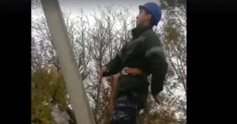 МакГрегорға пародия жасаған электрик жазаланды