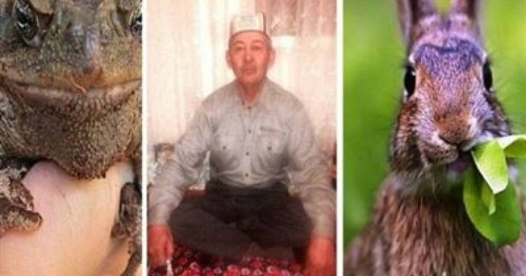 Түркістан облысынан шыққан емші адамдарды қоянның қанымен емдеп жүр