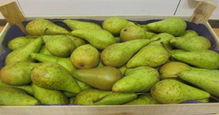 Ішінде ине толы екі қорап алмұрт табылды