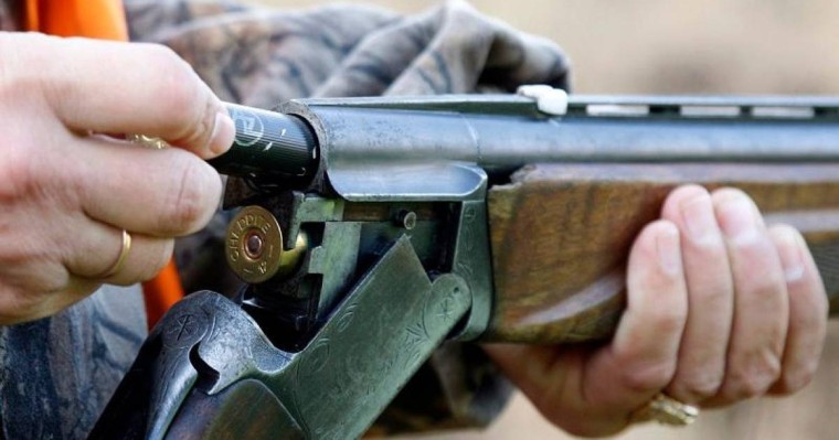 一年半内哈萨克斯坦境内700只高鼻羚羊遭猎杀