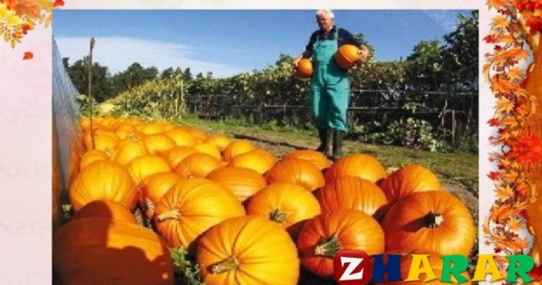 Қазақ тілінен сабақ жоспары: Күзгі еңбек (3 сынып, II тоқсан, 3 бөлім) » ZHARAR