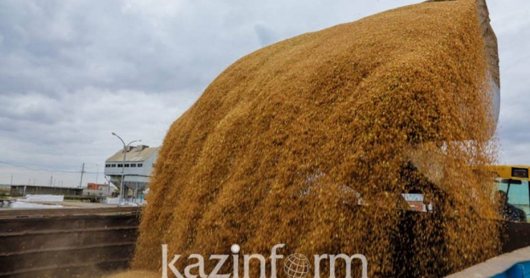 今年前5个月哈萨克斯坦农产品产量增产3.7%