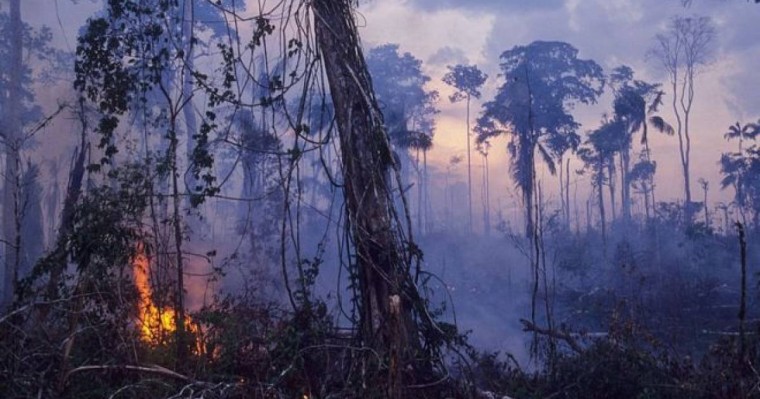 地球之肺在燃烧 亚马逊雨林大火创纪录