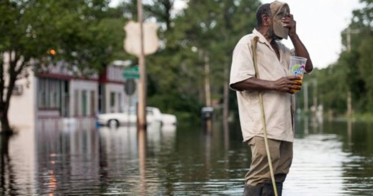 Презентация (слайд): Жылқы шарушылығы және оның негізгі салалары