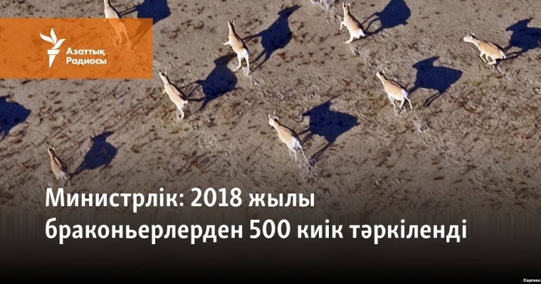 2018 жылы браконьерлерден 500 киік тәркіленді