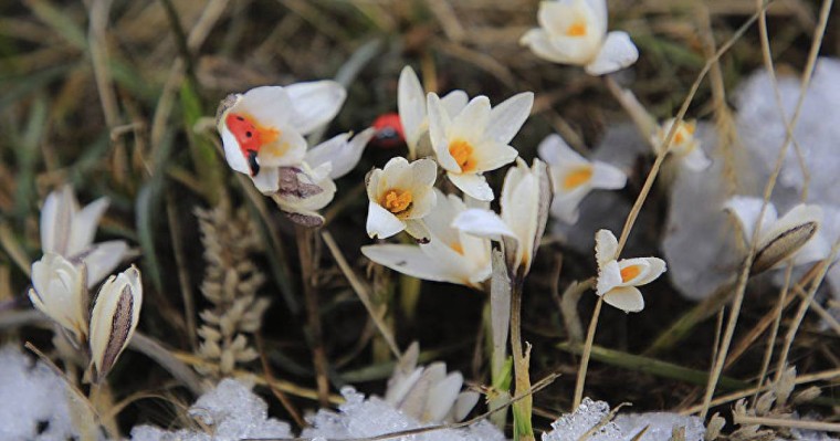 Наурыз айында ауа райы қандай болады