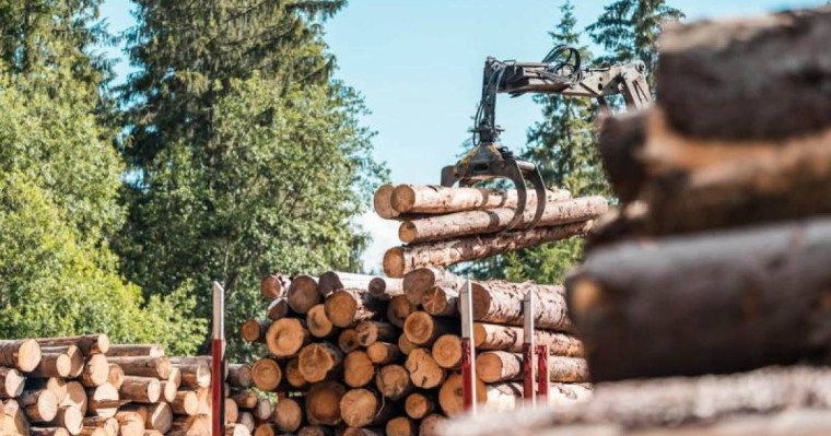哈萨克斯坦将暂停出口部分木质材料