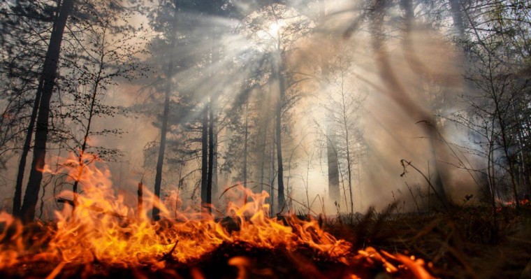 Сібірде 5 мың гектарға жуық орман өртеніп жатыр