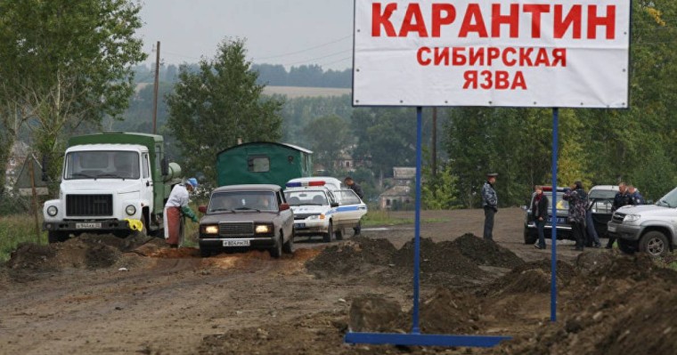 сібір жарасының қайдан шыққаны белгілі болды