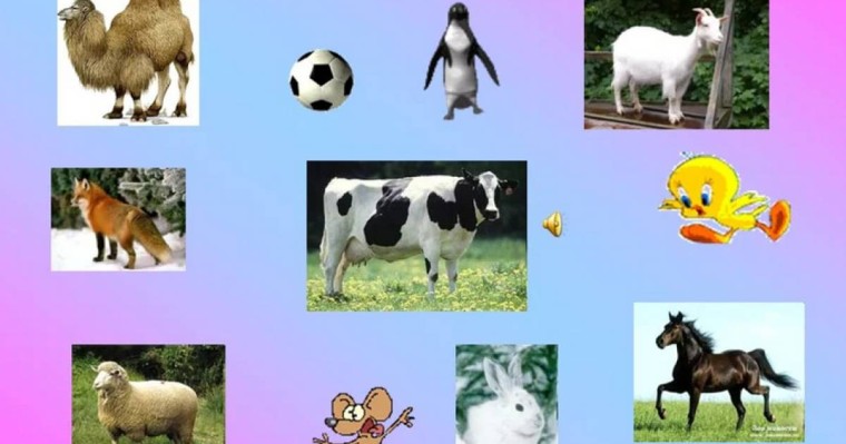 Қазақ тілінен сабақ жоспары: Төрт түлік туралы өлеңдер оқу (2 сынып, IV тоқсан ) » ZHARAR