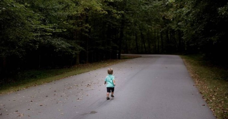 ШҚО-да өз үйінің ауласынан жоғалып кеткен 2 жасар бала әлі табылған жоқ