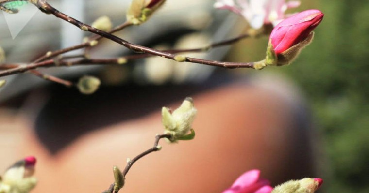 Ауа райы болжамы: 11 - 13 сәуірде күн жылы болады